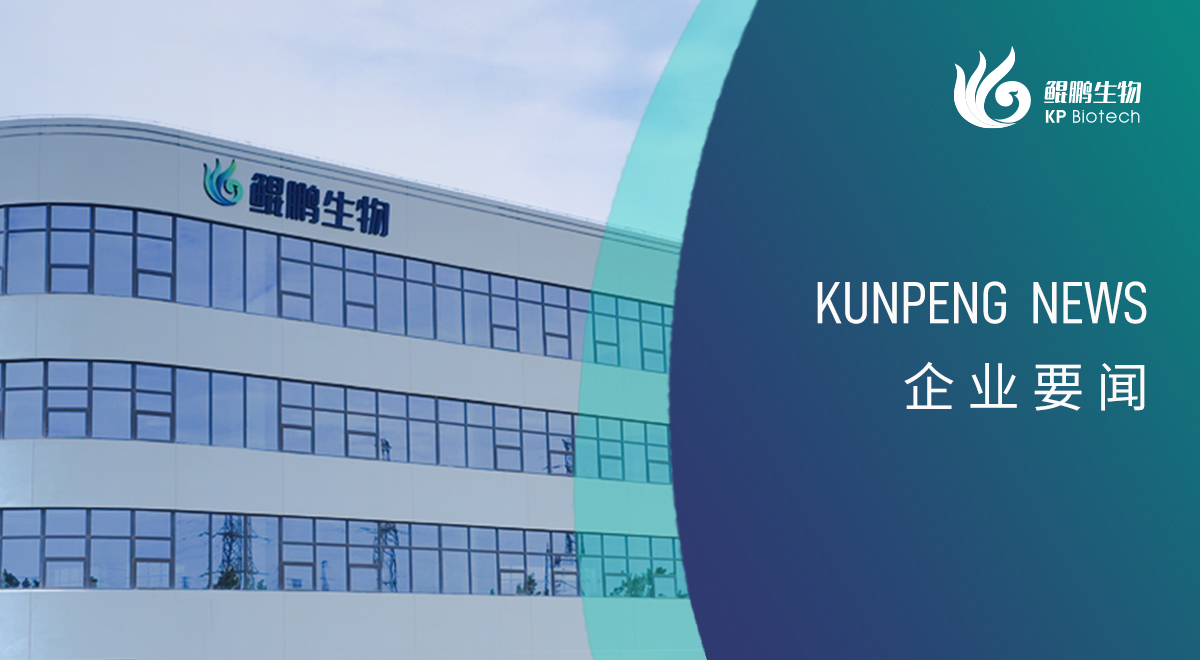 宁波快盈VIII新添两项政府荣誉认定 创新发展再获认可