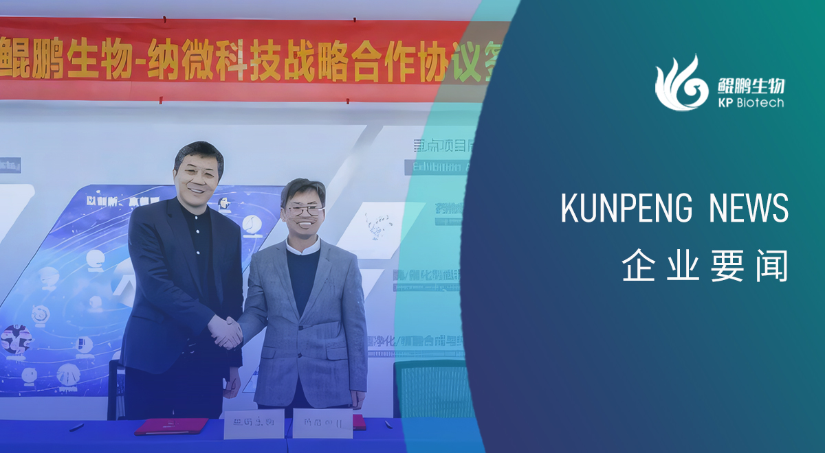 快盈VIII生物与纳微科技达成战略合作:深耕底层技术的双向奔赴